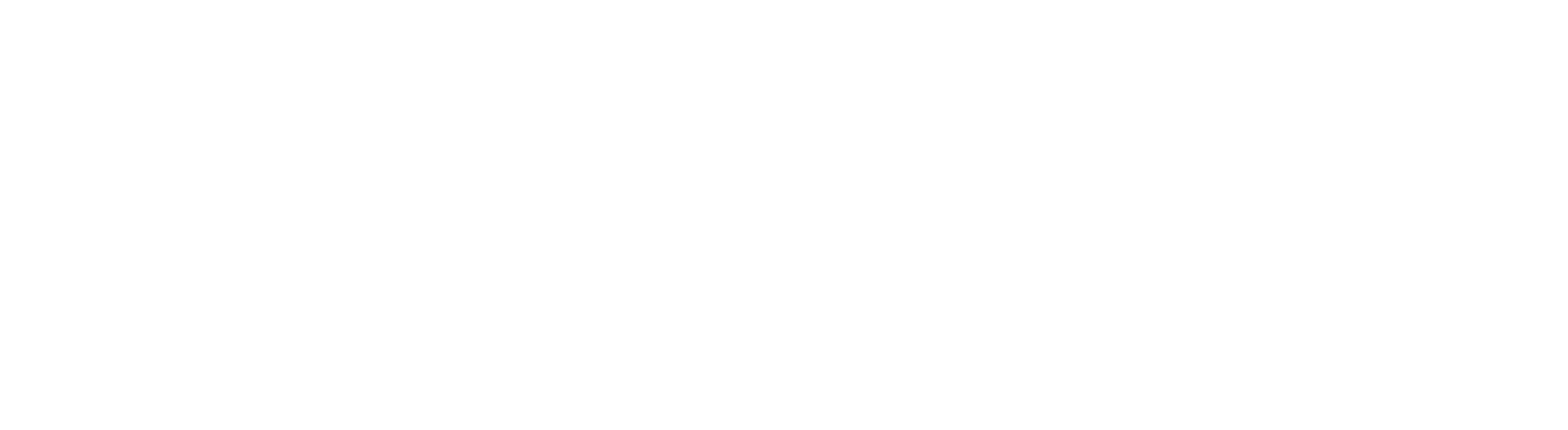 Sofia Ford Logo white